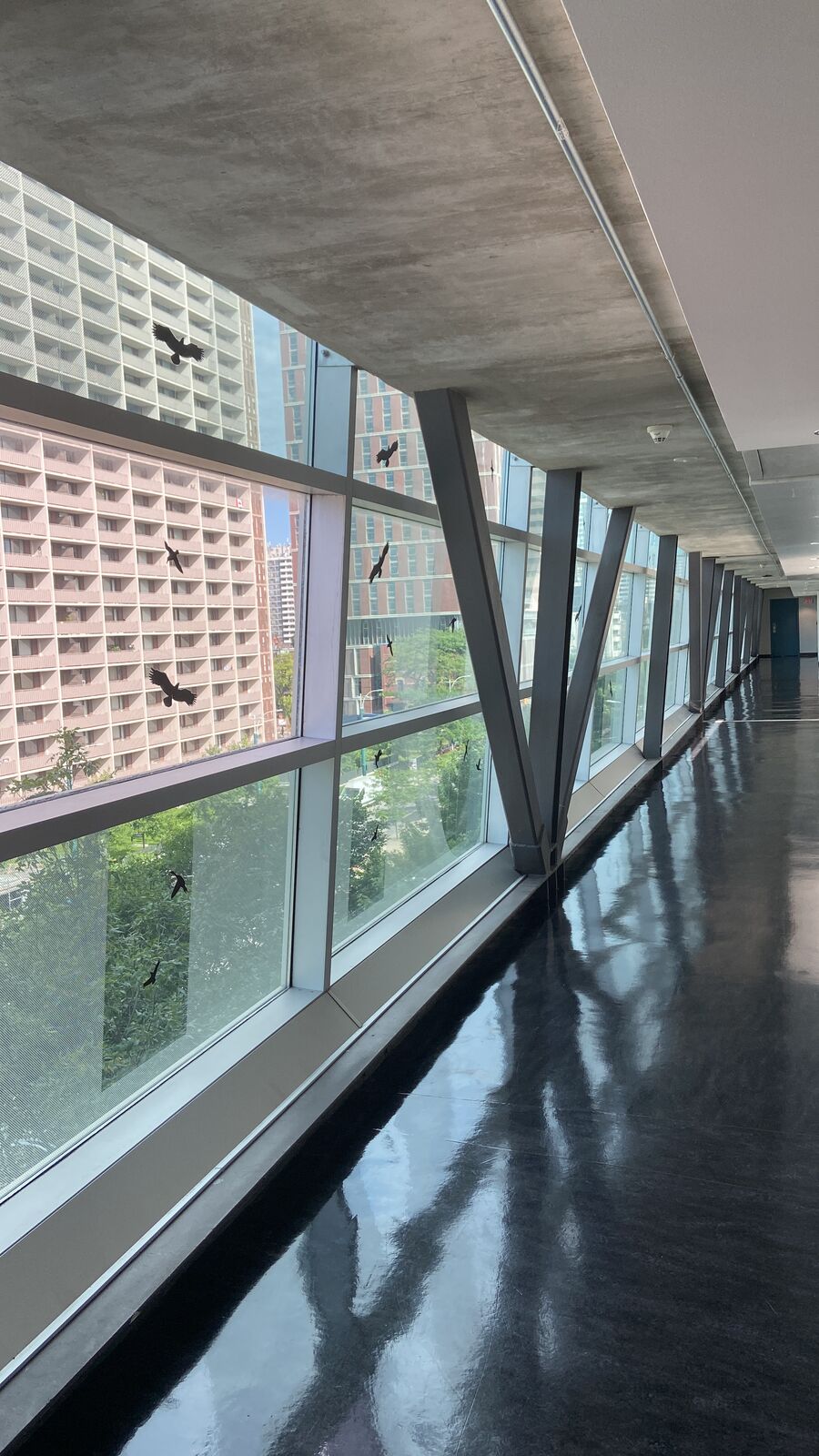 Commercial Fit-Ups project 2 by Canata Construction in the GTA